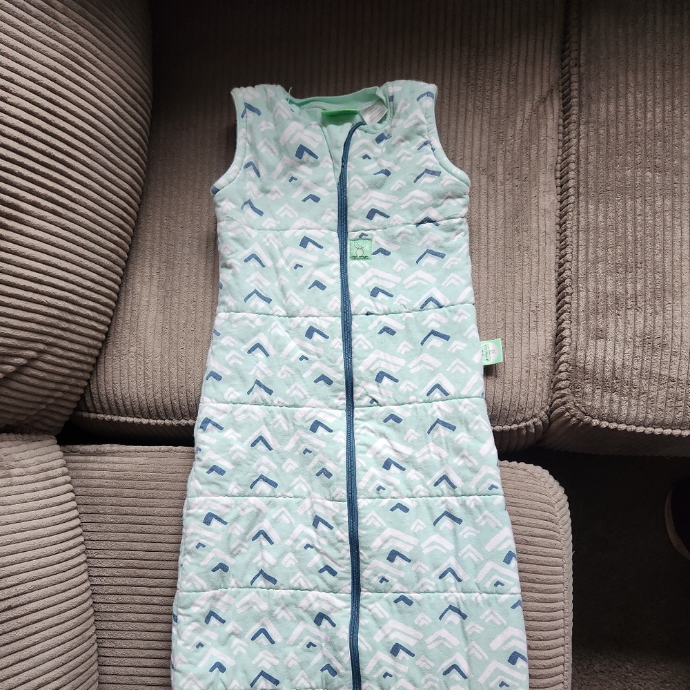 Ergo Pouch 2.5 8-24 Months